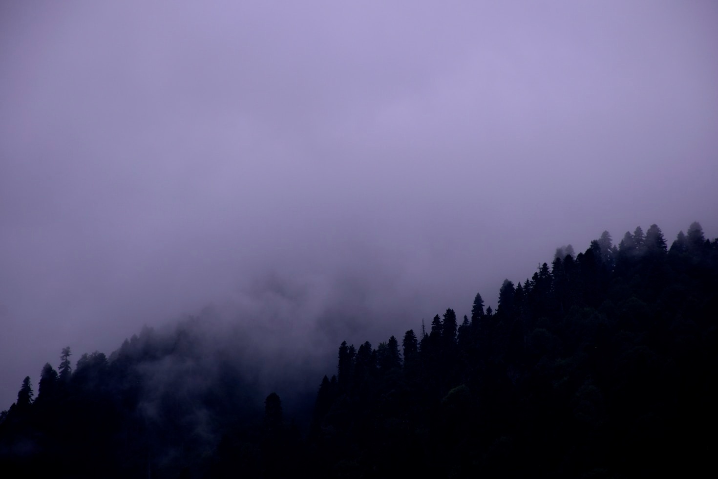 Books by Tim Swartz That Will Make You Wonder